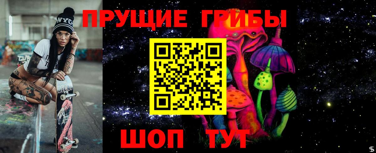 Псилоцибиновые грибы мицелий Арсеньев